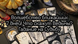 ВОЛШЕБСТВО БЛИЖАЙШИХ 7 ДНЕЙ! Что скажут Ведьмы? Гадание на Судьбу