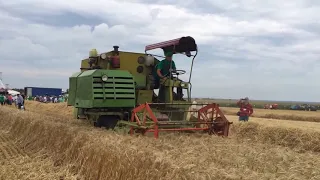 КОНКОРД. CLAAS COMET жнивує на Київщини