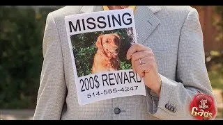 Senile Man Loses His Dog - Throwback Thursday