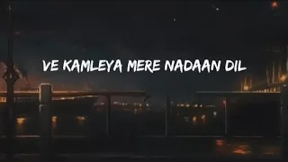 Ve Kamleya ( Lyrics ) | Asees Kaur | Arp Lyrics [ LOFI ISLAND ]