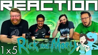 Rick and Morty 1x5 REACTION!! "Meeseeks and Destroy"