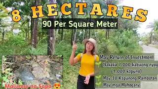 #Vlog05 | 8 HECTARES | Along Brgy Road | MAY RETURN OF INVESTMENT | May 1k Kapunong Nyog | 90PerSqrM