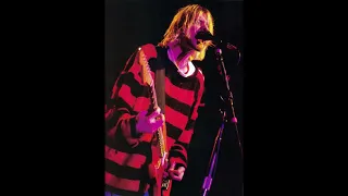 Nirvana - Aneurysm - Live In New York - Roseland Ballroom - 07/23/1993 - Instrumental