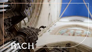 Bach - Toccata from Toccata and fugue in D minor BWV 565 | Netherlands Bach Society