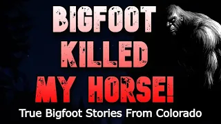 BIGFOOT KILLED MY HORSE! True Bigfoot Encounter Stories From Colorado