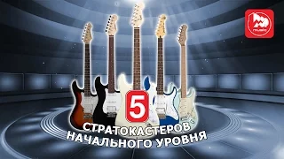 ТОП-5 Доступных электрогитар Stratocaster, какую гитару купить новичку?