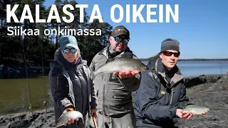 Siikaa onkimassa | Kalasta oikein