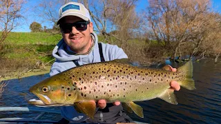 Winter Streamer Fishing for Brown Trout | Merri River, Victoria