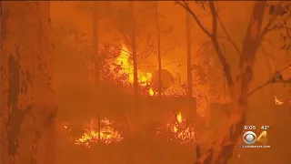 CU Denver Professor Reacts To Australia Wildfires