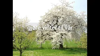 Vinter til vår - Mini-Tvers (Tekst/lyrics)