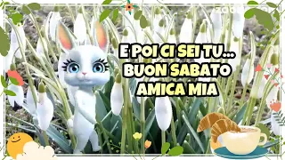 BUON SABATO AMICA MIA 🥰🌞