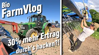 Probleme mit der alten Hacke.. 3 Bolzen gebrochen - alles einmal durch hacken / Vlog 90 (2)