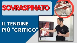 Dolore alla SPALLA causa SOVRASPINATO: ecco cosa fare con il tendine più "critico"!