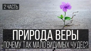 Природа веры (2 часть). Почему так мало видимых чудес? | Николай Лапшин