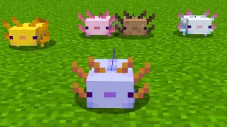 Impossible de faire spawn cet axolotl - FuzeIII