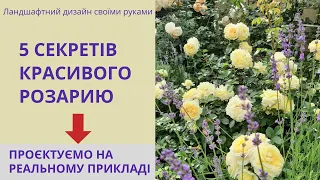 Троянди в саду - 5 секретів проєктування розарію на реальному прикладі. Ландшафтний дизайн