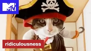 Most Ridiculous Pets 😺 | Ridiculousness | MTV