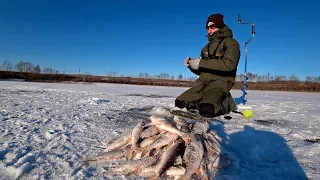 ЭТА МОРМЫШКА КОСИТ РЫБУ! Наловил рыбы. Рыбалка на жерлицы. Зимняя рыбалка 2018