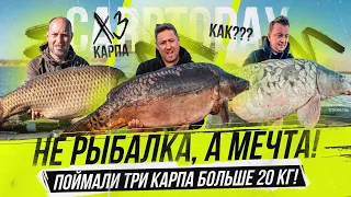 НЕ РЫБАЛКА, А МЕЧТА! Поймали ТРИ КАРПА 20 КГ! КАК❓❗ Соревнования по КАРПФИШИНГУ!