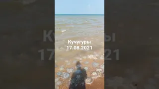 море Кучугуры 2021