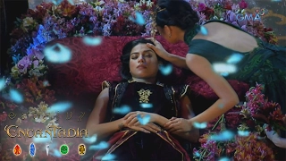 Encantadia: Paalam, Pirena