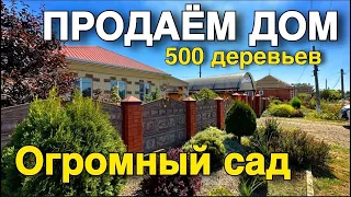 МОЯ МЕЧТА, ЧТОБЫ НА УЧАСТКЕ БЫЛО ПОСАЖЕНО 500 ПЛОДОВЫХ ДЕРЕВЬЕВ !!!