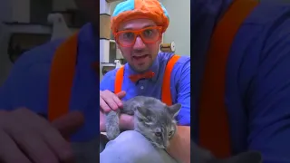 Blippi Visits an Animal Shelter | Blippi Songs 🎶| Educational Songs For Kids