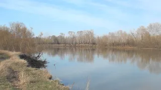 "Бобровская протока" Посёлок Затон.Г.Барнаул.