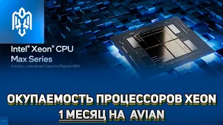 Окупаемость 1 месяц на процессорах intel Xeon на монете Avian  Майнинг на windows и hive os
