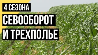 Четыре сезона. Севооборот и трехполье