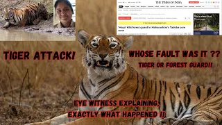 WHOSE FAULT ? TIGER or FOREST GUARD ?! | TIGER ATTACK #tadoba #RoaringBorderlands