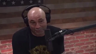 Joe Rogan and Wiz Khalifa High As Kites