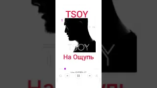 #TSOY Анатолий Цой-На Ощупь