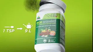 eco-seaweed