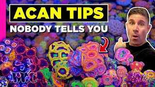 Everything you Knew About Acans was a LIE