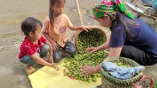 My mother and harvested the fruit and sold it for money