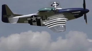 Stallion 51's P-51 Mustang @ SUN 'n FUN 2014