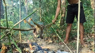 Primitive Solution,  Make a trap to catch wild chicken and cooking in the forest