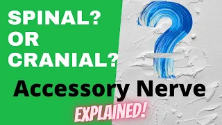 Accessory Nerve | Cranial? or Spinal? | Dr Doris