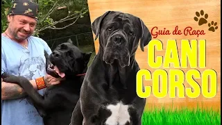 GUIA DE RAÇA - CANE CORSO | RICHARD RASMUSSEN