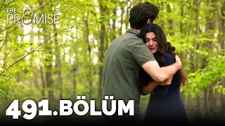 Yemin 491. Bölüm | The Promise Season 4 Episode 491