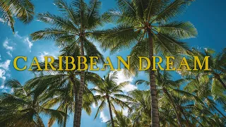 CARIBBEAN DREAM 2020 (Cinematic Travelmovie // Sony a7III // Pre-Corona)