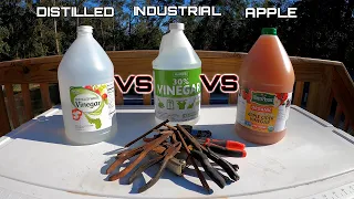 Which Vinegar Works Best at REMOVING RUST From TOOLS