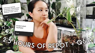 the longest plant repot on youtube ever / answering some personal & planty questions!