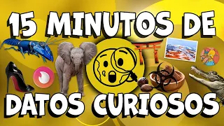 15 MINUTOS DE DATOS CURIOSOS ⏰️😲 Nº1 [FASCIMUNDOTV]