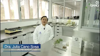 Taller: Cultivo in vitro y micropropagación de plantas