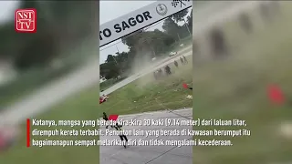 Muhammad Amir Mohd Yusoff’s fatal crash 2022