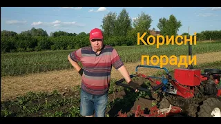 Правильне окучування картоплі в рази збільшує урожай