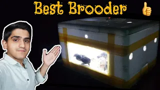 How To Make Brooder 🙂 || Best Brooder for chicks 👍|| shehr or Gaon