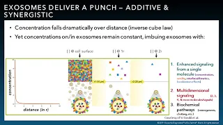 The Power of Exosomes  Diagnostic Applications and Beyond